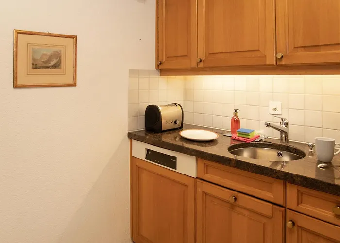 Abendrot Apartments-30 By Interhome Grindelwald